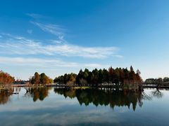 -贡湖湾湿地公园