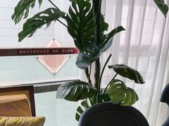 -新雅粤菜馆(南京东路店)