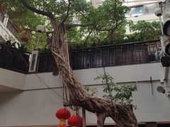 -广州酒家(文昌总店)