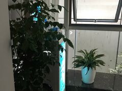 -圣和足道·瑶浴SPA·养生茶府(光华店)