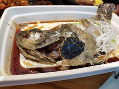 清蒸石斑鱼-盒马鲜生(十里堡店)
