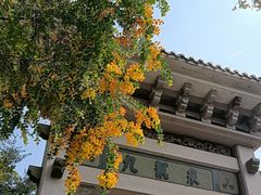 -广州市白云山风景名胜区