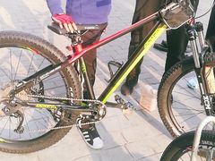 -道路口单车爱瓦士dahon大行