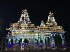 -枫林花海