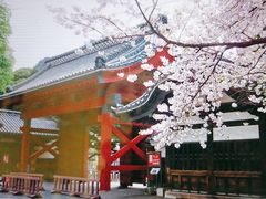 -学习谷日语培训日本留学·多语种外语教学(海淀人大分部)