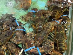 -渔民新村(番禺总店)