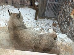 -青藏高原野生动物园