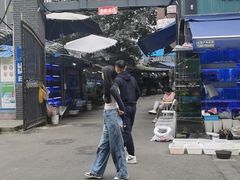 -青石桥花鸟鱼虫市场(叠翠城店)