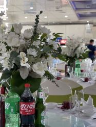 -Doris一站式游轮婚礼船东直营店(外滩店)