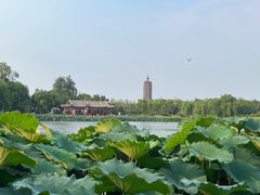 -西海子公园
