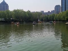 -团结湖公园