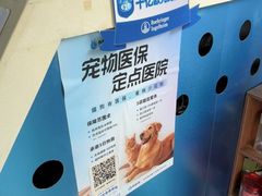 -东方动物医院·宠保定点·骨科·转诊中心(春城路·昆明站分院)