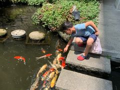 -京都全日空皇冠假日酒店