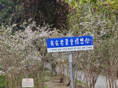 -老君堂公园