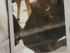 -浙江自然博物院(杭州馆)