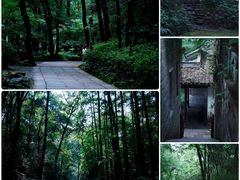-虎跑公园
