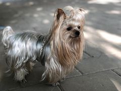 -曼哈顿国际俱乐部(宝地东湖湾G区店)