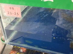-阳澄湖大闸蟹·琼灵阁牌品牌连锁(吴中总店)