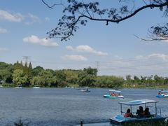 -昆山城市生态森林公园