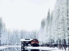 -黄海国家森林公园