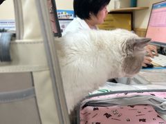 -瑞派宠物医院·24h·骨外科·皮肤科·全科宠物医疗转诊中心(沈阳浑南院)