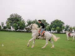 -古柏渡飞黄旅游区