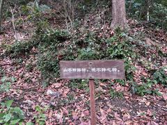 -灵隐飞来峰景区