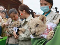 -南通濠河风景名胜区