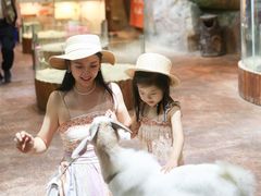 -杭州开元森泊度假乐园