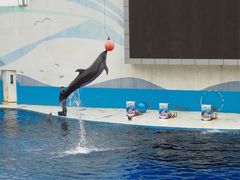 -北戴河圣蓝海洋公园