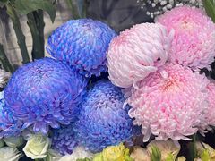 -爱尚幸福鲜花(上地实体店)