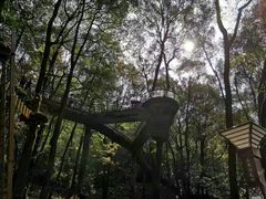 -石燕湖生态旅游景区