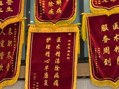 -半岛宠物医院24小时·内窥镜·牙科·碎石中心(府城大道店)