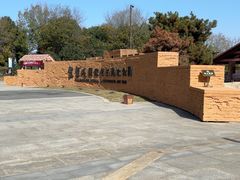 -盘龙城国家考古遗址公园