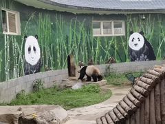 -南昌动物园