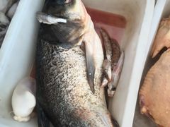 -华龙特色大骨鸡农家菜馆