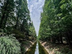 -东平国家森林公园