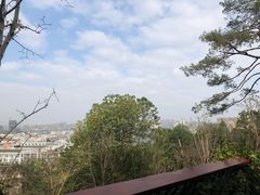 -飞凤山奥体公园