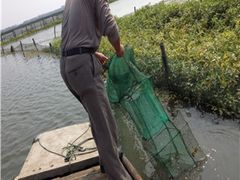-阳澄湖大闸蟹·琼灵阁牌品牌连锁(吴中总店)