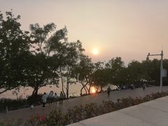 -宝安西湾红树林湿地公园