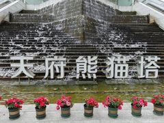 -339旋转餐厅(天府熊猫塔店)