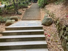-九龙潭景区