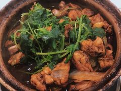 招牌家鸡煲-渝君重庆火锅(嘉宾路店)