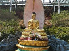 -西双版纳勐泐文化旅游区