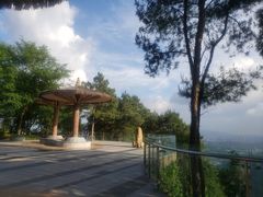 -铁山坪森林公园