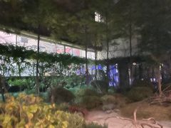 -轻武堂传统射箭·功夫茶·射击体验馆(仁和新城店)