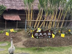 -盈香心动乐园