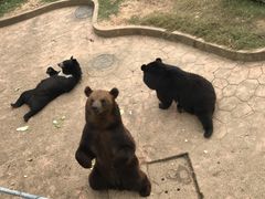 -无锡动物园·太湖欢乐园