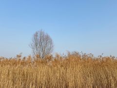 -花园口旅游区