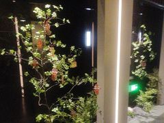 -隐溪茶馆(金虹桥店)
